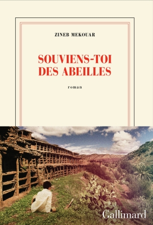 Souviens-toi des abeilles, de Zineb Mekouar